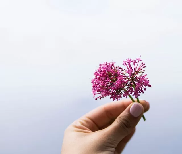 valeriana