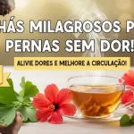 circulação nas pernas